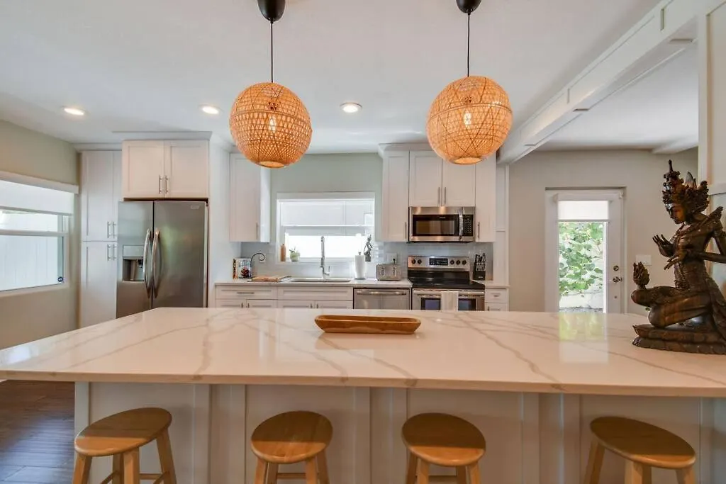 Luxury Home In The Heart Of South Tampa & Pool!